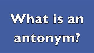 What is an antonym [upl. by Armelda]