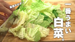 【白菜レシピ】材料2つ！一番おいしい食べかた！簡単中華 [upl. by Mert]