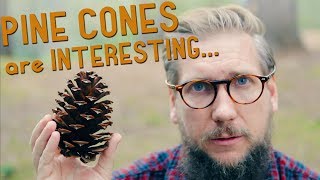 I never knew this about PINE CONES [upl. by Perreault962]