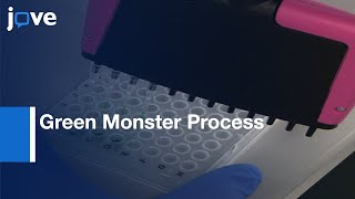 Green Monster Process Generation Yeast Strains Carrying Multiple Gene Deletions l Protocol Preview [upl. by Rafaelia]