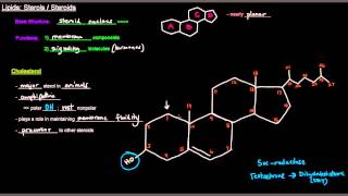 Lipids Part 11 of 11  Sterols  Steroids [upl. by Yuht]