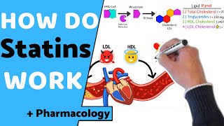 How do Statins Work  Pharmacology [upl. by Demona]