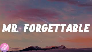 David Kushner  Mr Forgettable Lyrics [upl. by Imojean]