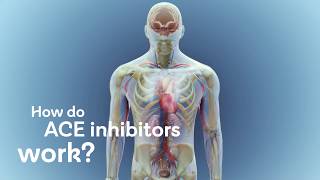 How do ACE inhibitors work [upl. by Frye]