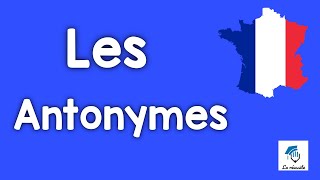 Les antonymes les contraires [upl. by Inej415]