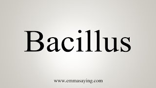 How To Say Bacillus [upl. by Ahsilef]