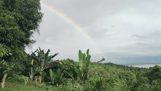 Socorro rainbow live [upl. by Warring]