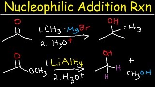 Nucleophilic Addition Reaction Mechanism Grignard Reagent NaBH4 LiAlH4 Imine Enamine Reduction [upl. by Tnayrb]