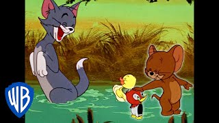 Tom amp Jerry in italiano  È di famiglia  WB Kids [upl. by Ytsirhk177]