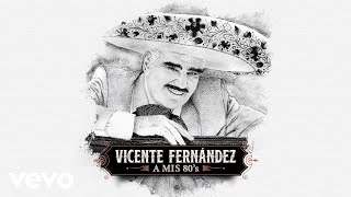 Vicente Fernández  A Mi Nieto Cover Audio [upl. by Reibaj956]