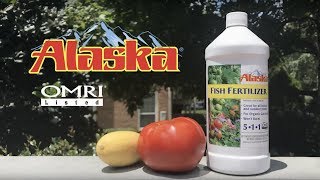 How to Use Alaska Fish Fertilizer [upl. by Eniarrol925]