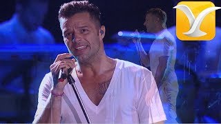 Ricky Martin  Vuelve  Festival de Viña del Mar 2014 HD [upl. by Nilrak993]