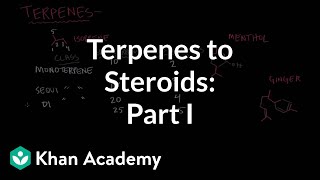 From terpenes to steroids part 1 Terpenes  Endocrine system physiology  NCLEXRN  Khan Academy [upl. by Rednirah258]