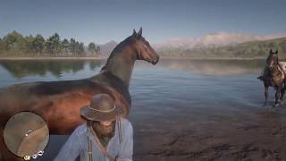 RDR2 TIPS TRICKS  How To KeeP BraitHwaite Brand On HorSes [upl. by Eenar]