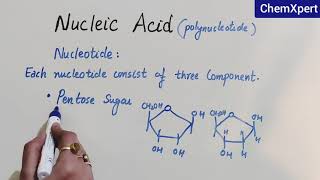 Nucleic Acid  Biomolecules Class 12 Chapter 14 [upl. by Oremodlab]