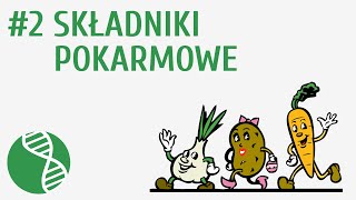 Składniki pokarmowe 2  Odżywianie [upl. by Akinat629]