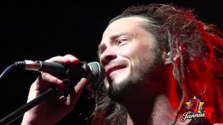 Soja jannus live 2013 [upl. by Natfa]