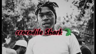 Skillibeng  Crocodile Shark Official Lyrics Video [upl. by Abbey]