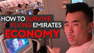 How to Survive Flying Emirates Economy Class Top Tips [upl. by Ahsienar392]