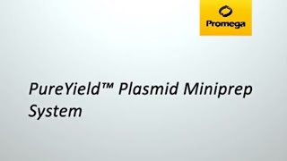 PureYield™ Plasmid Miniprep System [upl. by Wu695]