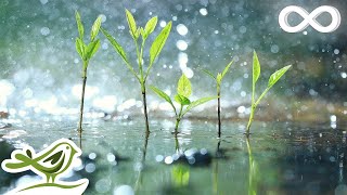 Relaxing Piano Music amp Soft Rain Sounds • Background Sleep Music  Raindrops Extended [upl. by Harad]