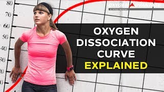 Oxygen Dissociation Curve Explained  Bohr Effect [upl. by Faulkner534]