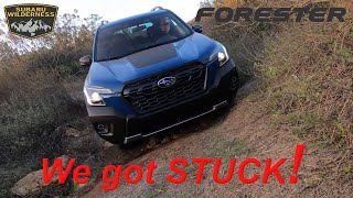 Getting slightly STUCK in the 2022 Subaru Forester Wilderness [upl. by Gentille745]