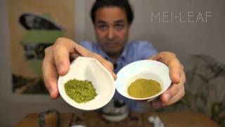 Everything you need to know about Matcha [upl. by Annadiana743]